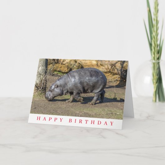 コビトカバの誕生日カード カード (正面)