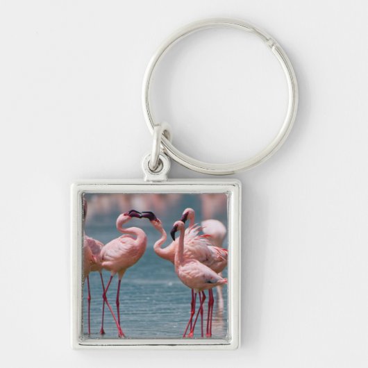 コビトフラミンゴ(Phoenicopterus Minor)オス2羽 キーホルダー (正面)