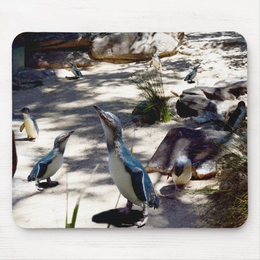 コビトペンギンの楽園 マウスパッド (正面)