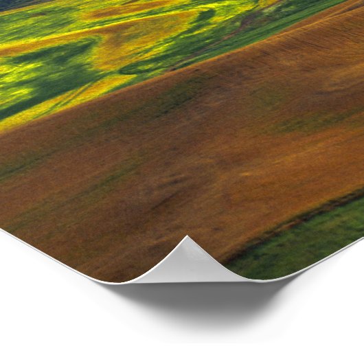 コファクスのステプトービュートのおうち。 ポスター (角)