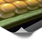 コブの上のトウモロコシ ポスター (角)