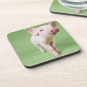 コブタの地位の切り取られるスタジオ コースター (左側)