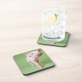 コブタの地位の切り取られるスタジオ コースター (右側)