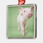 コブタの地位の切り取られるスタジオ メタルオーナメント (左)