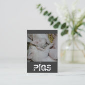 コブタの養豚場または牧場の山 名刺 (スタンド正面)