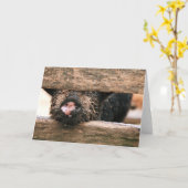 コブタの鼻の挨拶状-中ブランク カード (黄色い花)