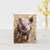 コブタ カード (黄色い花)