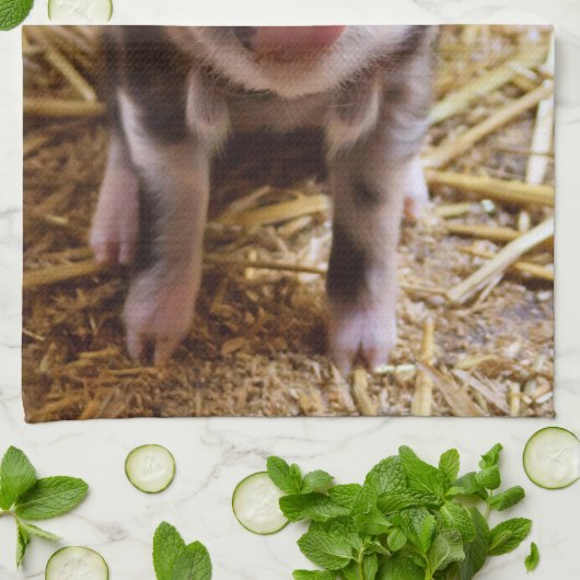 コブタ キッチンタオル (折り畳み)