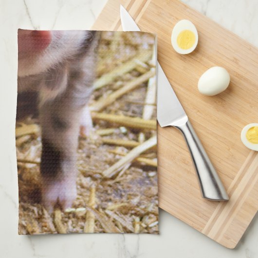 コブタ キッチンタオル (四つ折り)