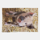 コブタ キッチンタオル (横)