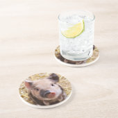 コブタ コースター (側面)