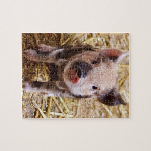 コブタ ジグソーパズル (横)