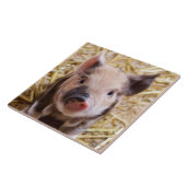 コブタ タイル (側面)