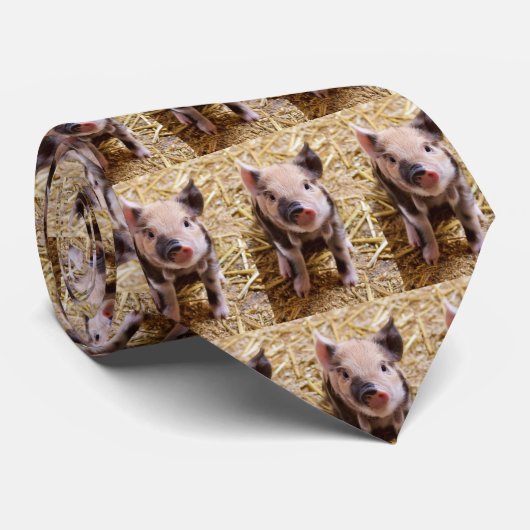 コブタ ネクタイ (ロール)