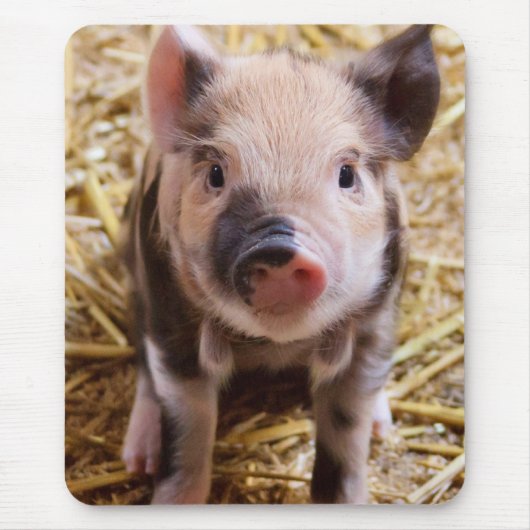 コブタ マウスパッド (正面)