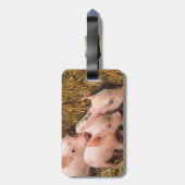 コブタ ラゲッジタグ (裏面縦)