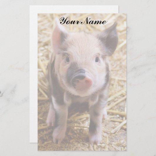 コブタ 便箋 (正面/裏面)