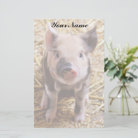 コブタ 便箋 (スタンド正面)