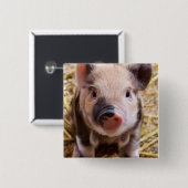 コブタ 缶バッジ (正面&裏面)