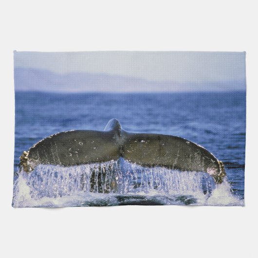 コブハクジラの尾 キッチンタオル (横)