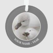 コブハクチョウのCygnets オーナメント (裏面)