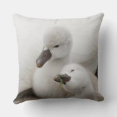 コブハクチョウのCygnets クッション (裏面)