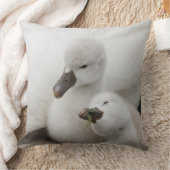 コブハクチョウのCygnets クッション (ブランケット)
