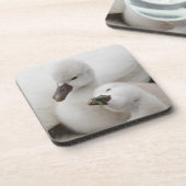 コブハクチョウのCygnets コースター (左側)