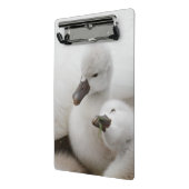 コブハクチョウのCygnets ミニクリップボード (アングル2)