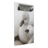 コブハクチョウのCygnets ミニクリップボード (アングル)