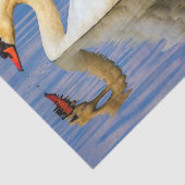 コブハクチョウ、白鳥座のolor 薄葉紙 (詳細)