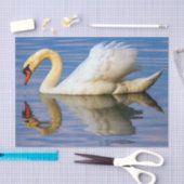 コブハクチョウ、白鳥座のolor 薄葉紙 (クラフト)