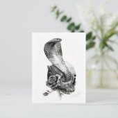 コブラのポストカード ポストカード (スタンド正面)