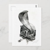 コブラのポストカード ポストカード (正面/裏面)