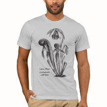 コブラの植物の植物の芸術