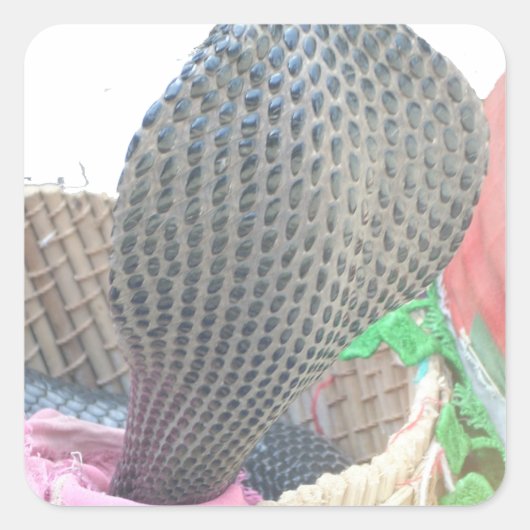 コブラインバスケットアートプリント スクエアシール (正面)