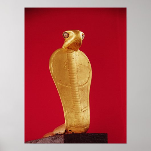 コブラネットジェ – アンク姿 ポスター (正面)