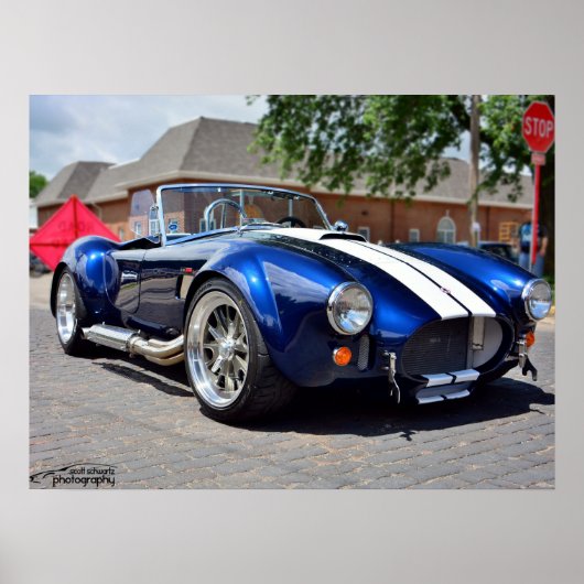 コブラポスター ポスター (正面)