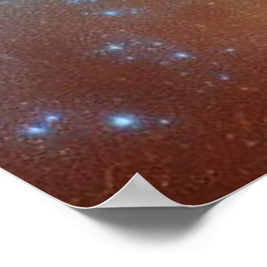 コブラ王とエジプトのファラオ ポスター (角)