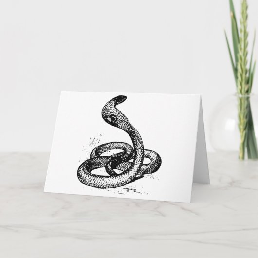 コブラ カード (正面)