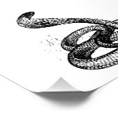 コブラ フォトプリント            (角)