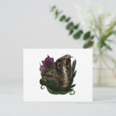 コブラ ポストカード (スタンド正面)