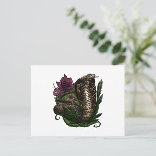 コブラ ポストカード (スタンド正面)