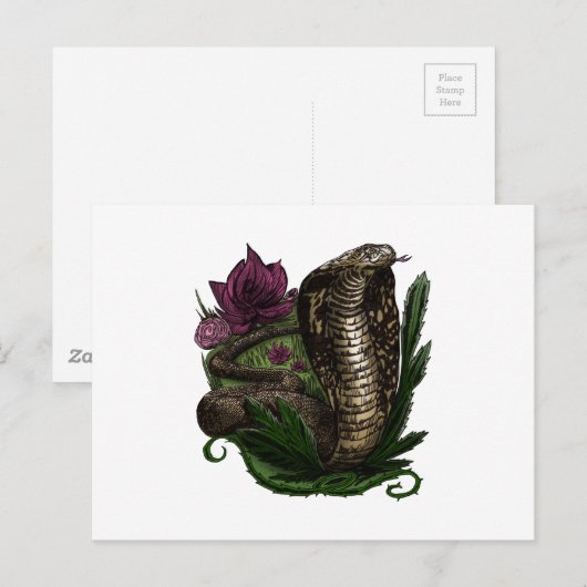 コブラ ポストカード (正面/裏面)