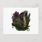 コブラ ポストカード (正面)