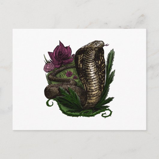 コブラ ポストカード (正面)