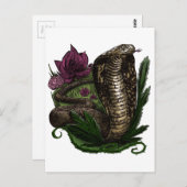 コブラ ポストカード (正面/裏面)