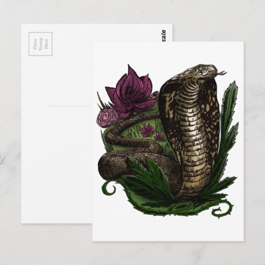 コブラ ポストカード (正面/裏面)