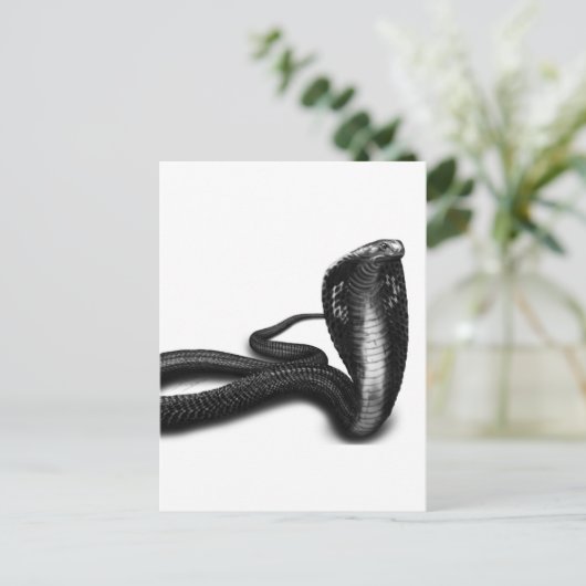 コブラ ポストカード (スタンド正面)