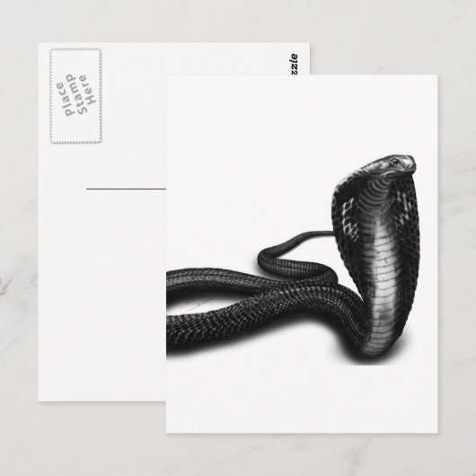コブラ ポストカード (正面/裏面)